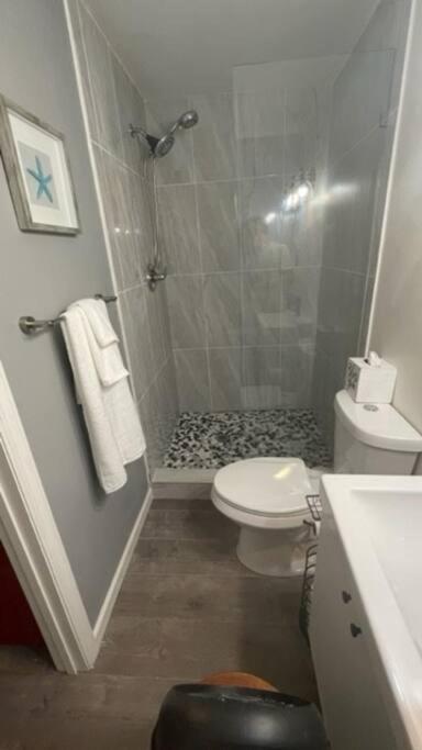 Lovely Studio Apartment With Kitchenette. Tampa Esterno foto